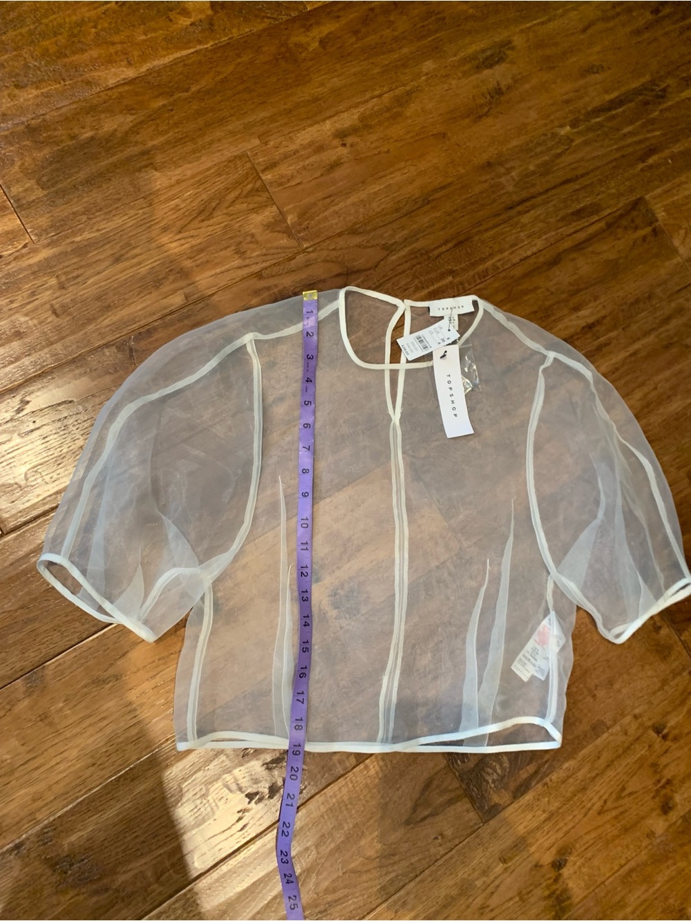 Topshop Sheer White Organza Crop Top with Piping - Picture 8 of 10